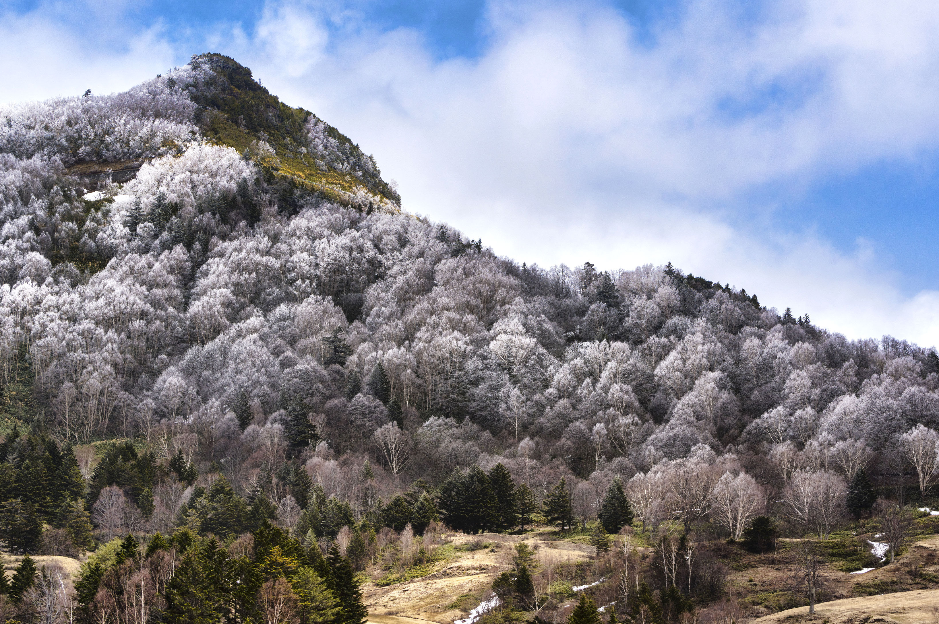 山田牧場の初冬